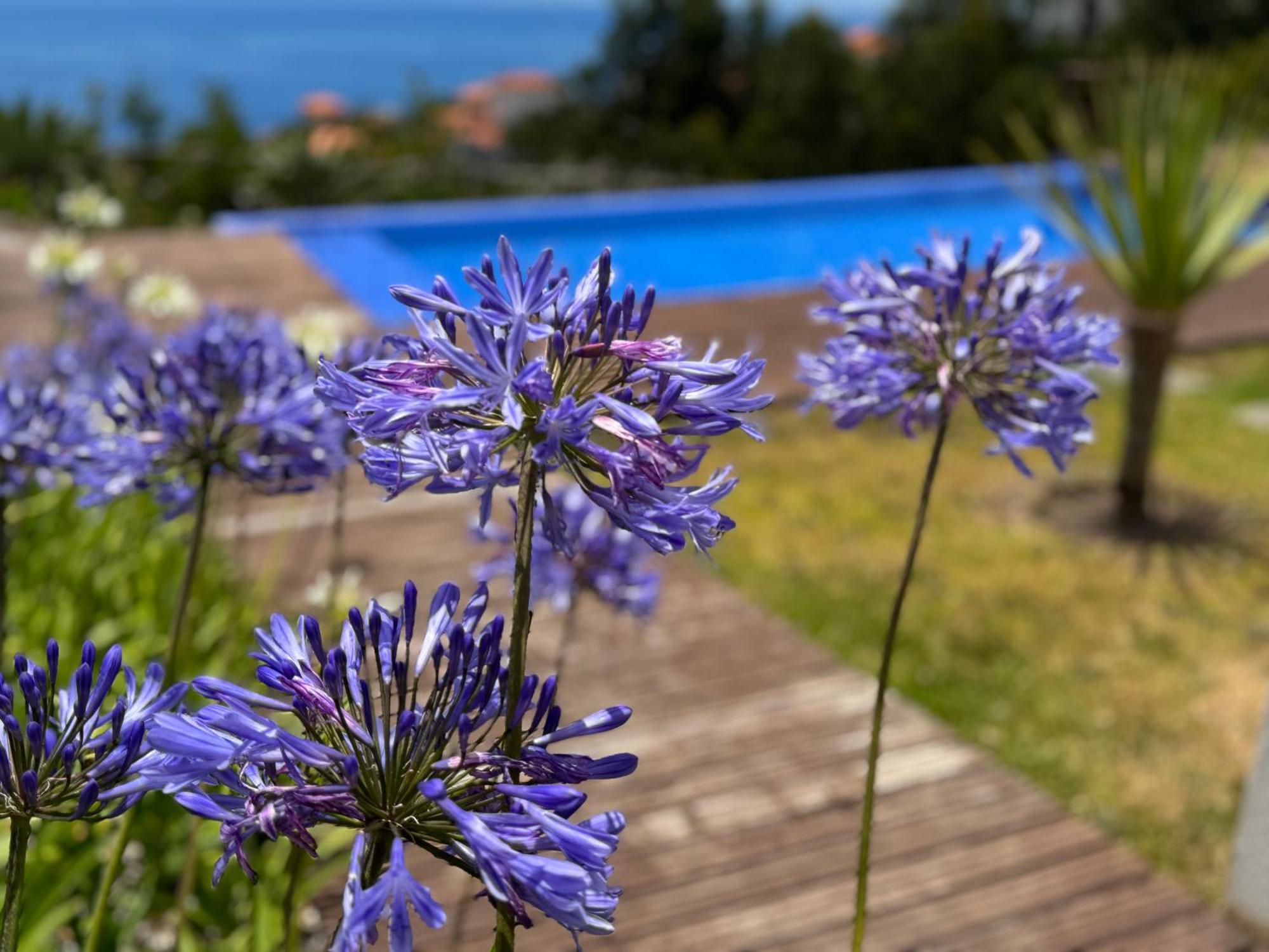 Modular Villa Calheta  Exteriör bild